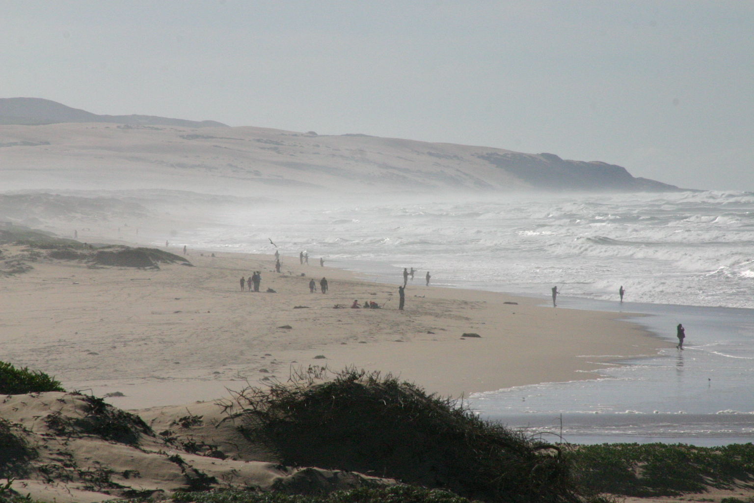 Oso Flaco Boardwalk